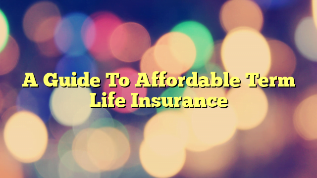 A Guide To Affordable Term Life Insurance